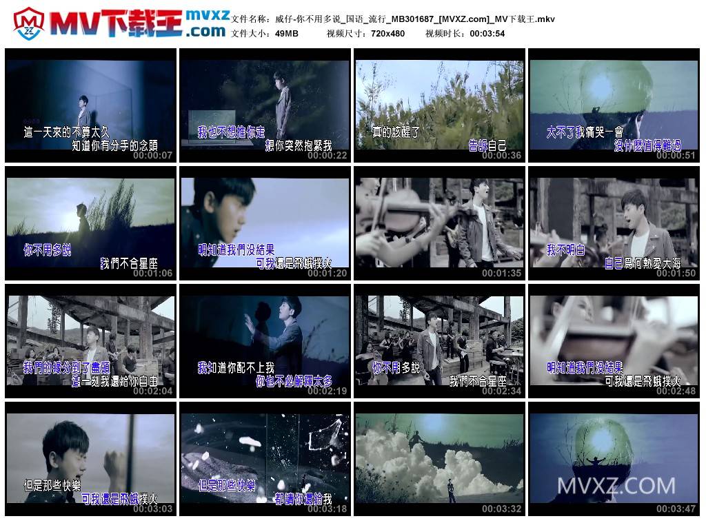 威仔-你不用多说_国语_流行_MB301687